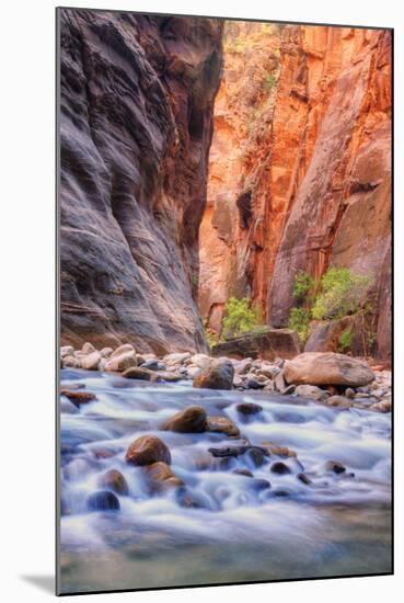 Inside The Narrows, Virgin River, Utah-Vincent James-Mounted Photographic Print