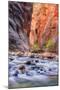 Inside The Narrows, Virgin River, Utah-Vincent James-Mounted Photographic Print