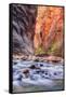 Inside The Narrows, Virgin River, Utah-Vincent James-Framed Stretched Canvas