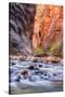 Inside The Narrows, Virgin River, Utah-Vincent James-Stretched Canvas