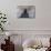 Inside the Rotunda at the Jefferson Memorial-Michael Nolan-Mounted Photographic Print displayed on a wall