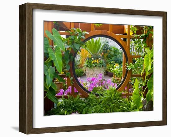 Inside the San Francisco Conservatory of Flowers, San Francisco, California, USA-Julie Eggers-Framed Premium Photographic Print