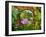 Inside the San Francisco Conservatory of Flowers, San Francisco, California, USA-Julie Eggers-Framed Premium Photographic Print