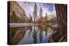 Inside the Valley, Yosemite-Vincent James-Stretched Canvas