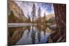 Inside the Valley, Yosemite-Vincent James-Mounted Photographic Print