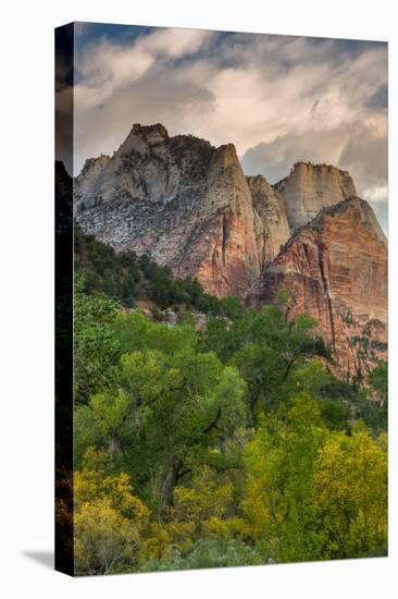 Inside Zion Canyon-Vincent James-Stretched Canvas