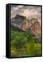 Inside Zion Canyon-Vincent James-Framed Stretched Canvas