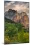 Inside Zion Canyon-Vincent James-Mounted Photographic Print