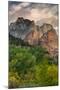 Inside Zion Canyon-Vincent James-Mounted Photographic Print