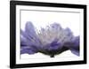 Inside-Uwe Steger-Framed Art Print