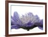 Inside-Uwe Steger-Framed Art Print