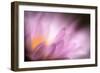 Inside-Ursula Abresch-Framed Photographic Print