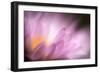 Inside-Ursula Abresch-Framed Photographic Print