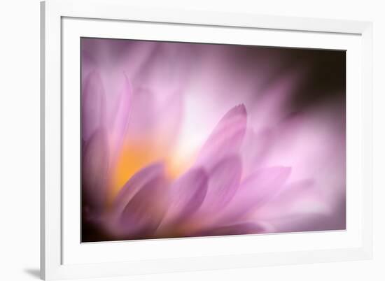 Inside-Ursula Abresch-Framed Photographic Print