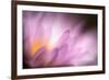 Inside-Ursula Abresch-Framed Photographic Print