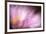 Inside-Ursula Abresch-Framed Photographic Print