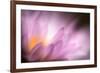 Inside-Ursula Abresch-Framed Photographic Print