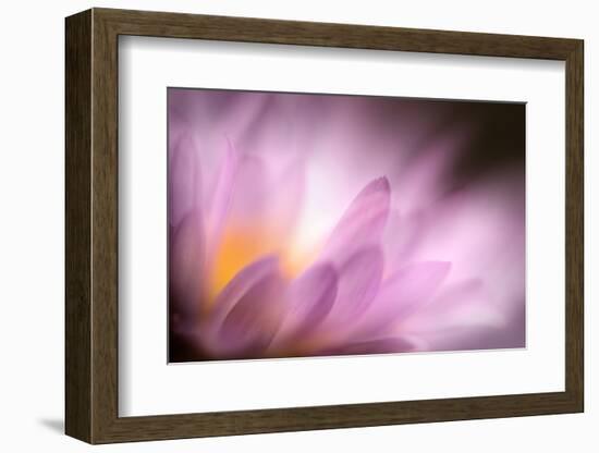 Inside-Ursula Abresch-Framed Photographic Print