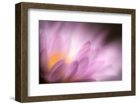 Inside-Ursula Abresch-Framed Photographic Print