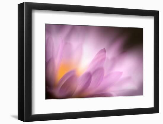 Inside-Ursula Abresch-Framed Photographic Print