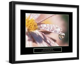 Insight-null-Framed Art Print