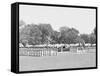 Inspection of Battalion with Color Guard, United States Military Academy, West Point, N.Y.-null-Framed Stretched Canvas