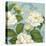 Inspiration Camellias-Pamela Gladding-Stretched Canvas