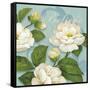 Inspiration Camellias-Pamela Gladding-Framed Stretched Canvas