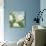 Inspiration Camellias-Pamela Gladding-Mounted Art Print displayed on a wall