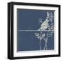 Inspirational Bird 1-Norman Wyatt Jr.-Framed Art Print