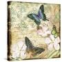 Inspirational Butterflies-A-Jean Plout-Stretched Canvas