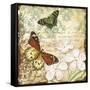 Inspirational Butterflies-B-Jean Plout-Framed Stretched Canvas