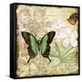 Inspirational Butterflies-C-Jean Plout-Framed Stretched Canvas