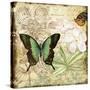 Inspirational Butterflies-C-Jean Plout-Stretched Canvas