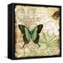 Inspirational Butterflies-C-Jean Plout-Framed Stretched Canvas