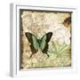 Inspirational Butterflies-C-Jean Plout-Framed Giclee Print