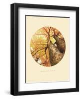 Inspirational Circle Design - Autumn Trees: Never Stop Growing-Subbotina Anna-Framed Art Print