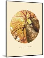 Inspirational Circle Design - Autumn Trees: Never Stop Growing-Subbotina Anna-Mounted Art Print