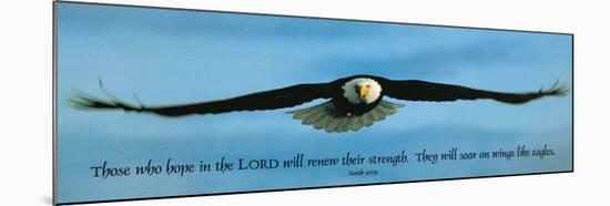 Inspirational - Eagle-null-Mounted Poster