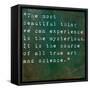 Inspirational Quote By Albert Einstein On Earthy Green Background-nagib-Framed Stretched Canvas