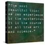 Inspirational Quote By Albert Einstein On Earthy Green Background-nagib-Stretched Canvas