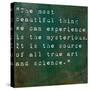 Inspirational Quote By Albert Einstein On Earthy Green Background-nagib-Stretched Canvas