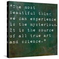 Inspirational Quote By Albert Einstein On Earthy Green Background-nagib-Stretched Canvas