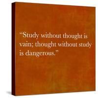 Inspirational Quote By Confucius On Earthy Background-nagib-Stretched Canvas