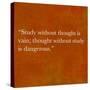 Inspirational Quote By Confucius On Earthy Background-nagib-Stretched Canvas