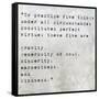 Inspirational Quote By Confucius On Earthy Background-nagib-Framed Stretched Canvas