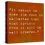 Inspirational Quote By Confucius On Earthy Background-nagib-Stretched Canvas