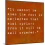 Inspirational Quote By Confucius On Earthy Background-nagib-Mounted Art Print