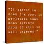 Inspirational Quote By Confucius On Earthy Background-nagib-Stretched Canvas