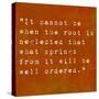 Inspirational Quote By Confucius On Earthy Background-nagib-Stretched Canvas